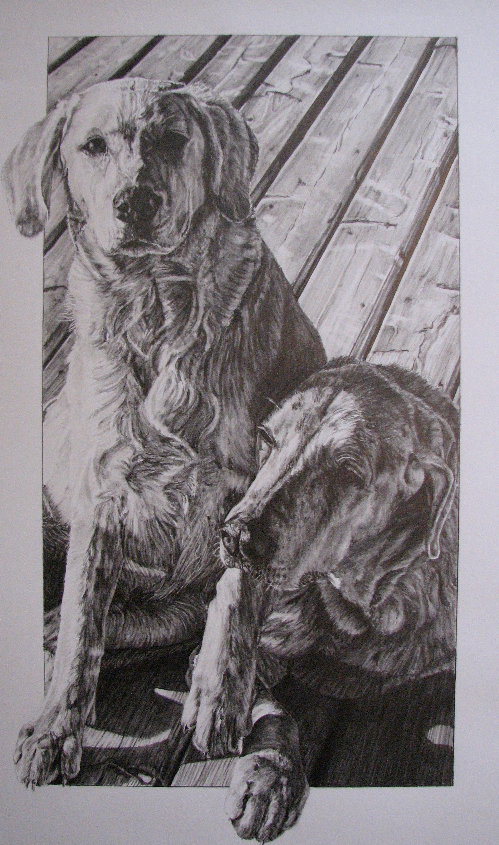 Harley and Axle
