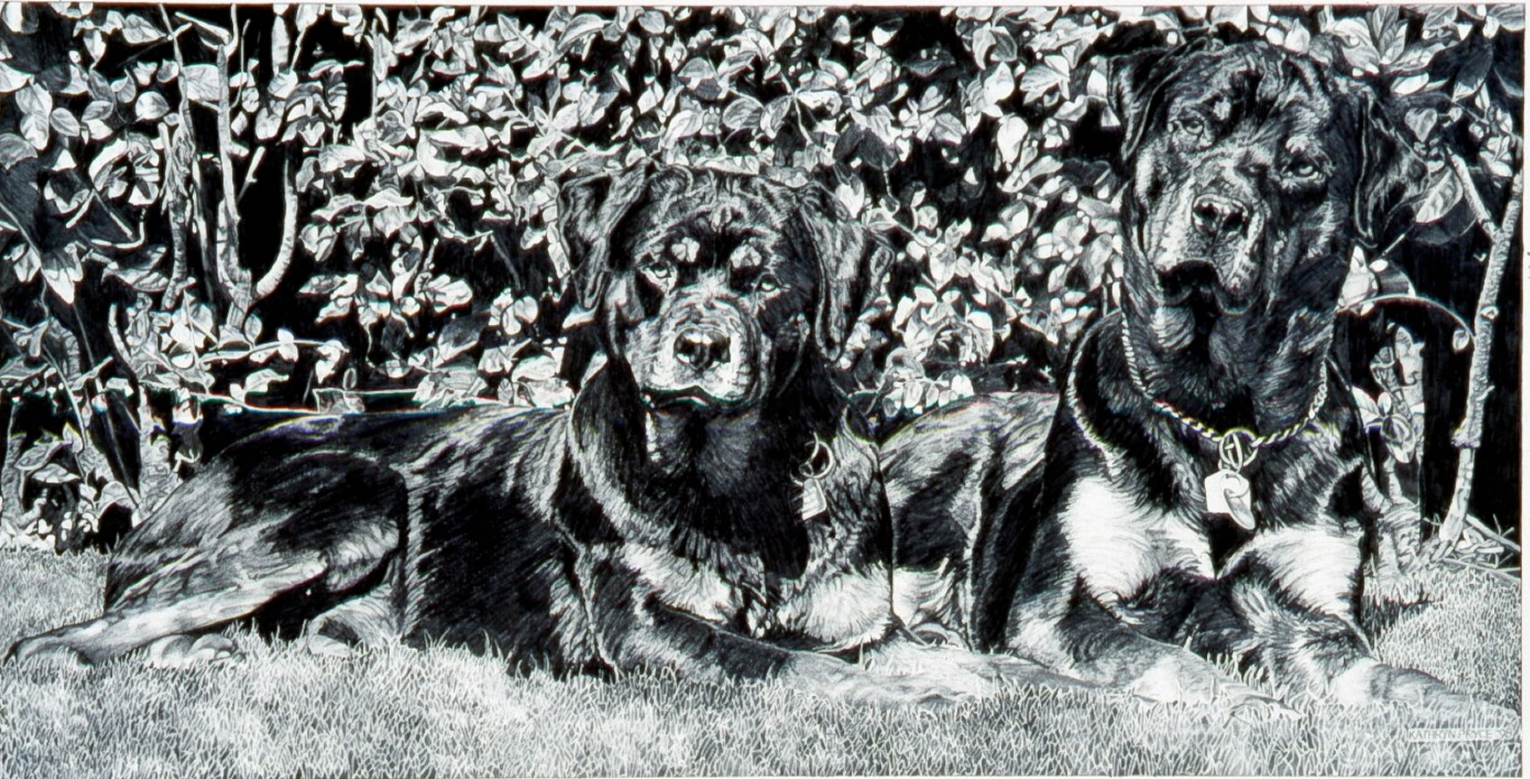 Ron's Dogs